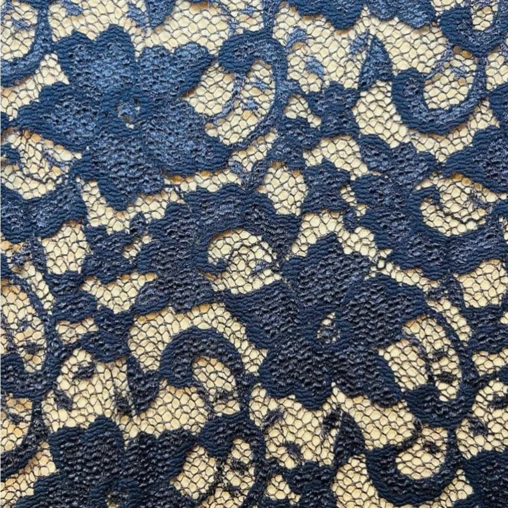 Badgley Mischka Navy Lace Dress with Nude Lining - Picture 10 of 10